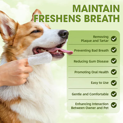 Geoorood Disposable Pet Tooth Cleaning Finger Gloves