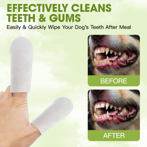 Geoorood Disposable Pet Tooth Cleaning Finger Gloves